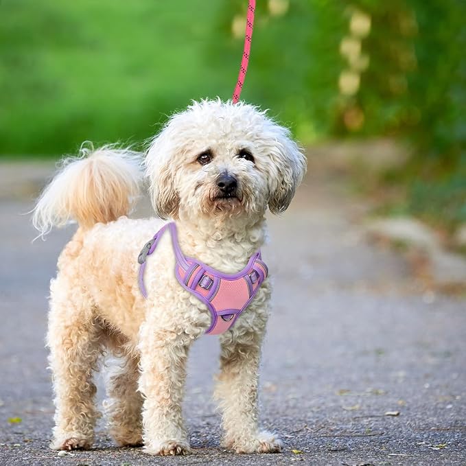 BARKBAY No Pull Dog Harness Large Reflective Dog Harness with Front Clip and Easy Control Handle for Walking Training Running with ID tag Pocket(Baby Pink & Violet Purple,XS) - Image 9