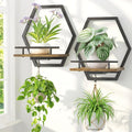 LASZOLA Plant Picture Frame Holder Shelf Wall Window Indoor, 2 Pcs Brown | Modern Floating Flower Hanger Wall Mounted, with Hooks, Metal Planter Hanging Stand Display Decor for Home Bathroom by LASZOLA