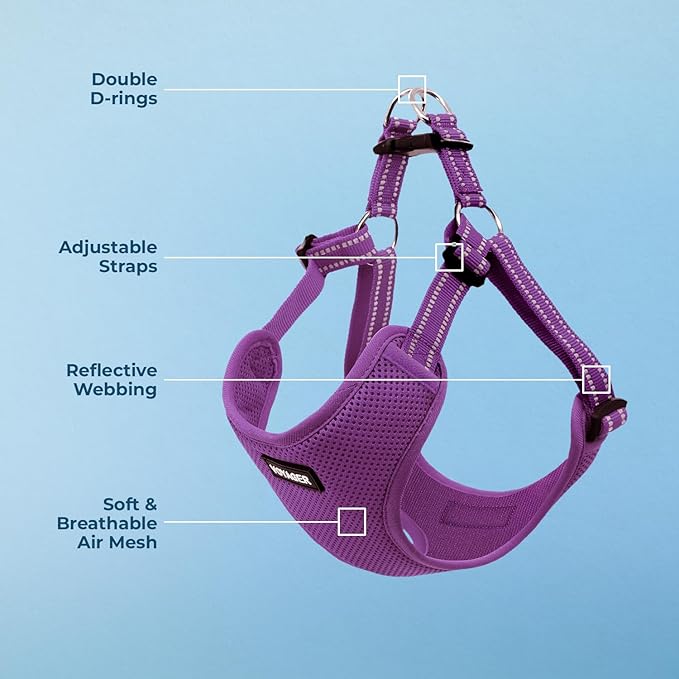 Voyager Step-in Flex Adjustable Dog Harness - Purple, Large | 20 - 25" in Chest, Fully Adjustable, Reflective Bands, All Weather Breathable Air Mesh, Lightweight, Fast Drying - Image 3