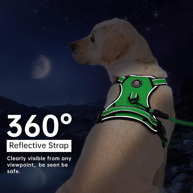 IVY&LANE No Pull Dog Harness for Large Dogs, Dog Vest Harness with Leash, Safety Belt and Storage Strap, Fully Adjustable Harness, 360° Reflective Strip, Soft Handle (Green, XL) - Image 6