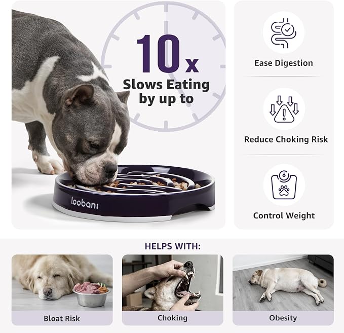 LOOBANI 4.5 Cups Ceramic Slow Feeder Dog Bowls Giant Dogs with Grip Handles | Heavy Ceramic, Stay in Place, Healthier Eating, Durable & Easy-Clean, Foam-Protected, Perfect for Fast-Eating Large Breeds - Image 4