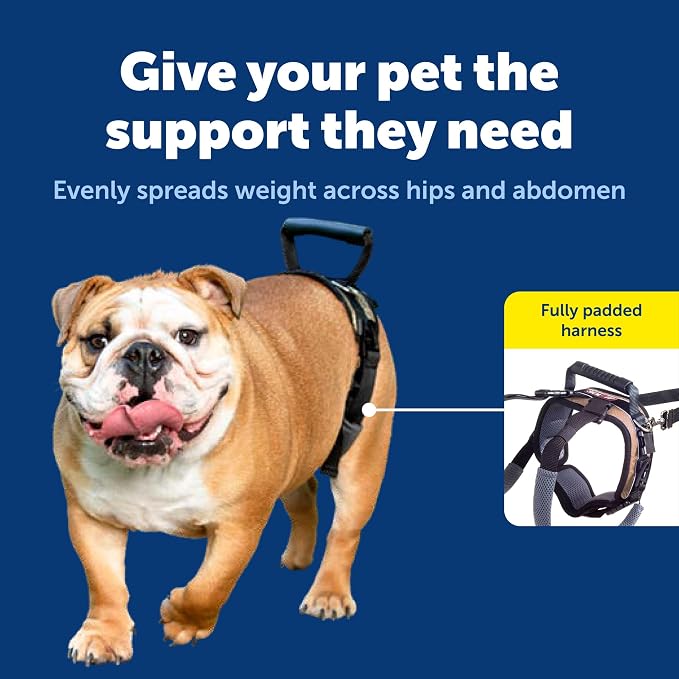 PetSafe CareLift Rear Support Harness - Lifting Aid with Handle and Shoulder Strap - Fits Waist Measuring 19-31 inches, Dog Weight 35lb-70lb, Medium, Black | Dog Lifting Aid with Handle & Shoulder Strap, Adjustable, Padded, Machine Washable, Helps Redu... - Image 3