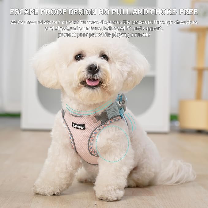 Breathable Dog Harness Small Sized and Leash Set, Blue-Pink XXXS | No Pull Step-in Vest, Lightweight Mesh, Reflective Design with High-Stick Magic Tape, Outdoor Use for Chihuahua, Maltese - Image 7