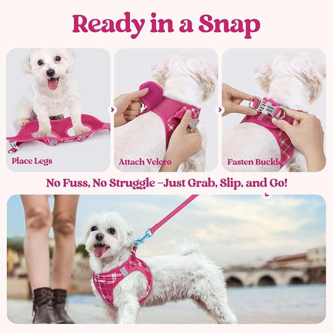 rabbitgoo Dog Harness Small Sized and Leash Set, Step-in Puppy Pet Vest | Light, Soft, Breathable Air Mesh, Easy on and Remove with Hook & Loop, Secure Reflective for Walking, Rose Red Plaid M - Image 5