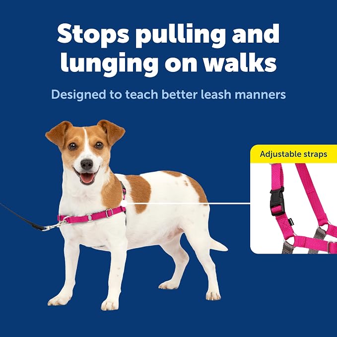 PetSafe Easy Walk Harness, No Pull Dog Harness, Raspberry, Small | Patented Martingale Loop Gives Gradual Shoulder Pressure to Stop Pulling, Front-Chest Leash Clip Prevents Gagging - Image 3