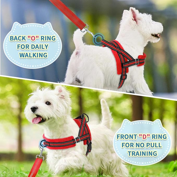 SlowTon No Pull Small Dog Harness and Leash Set with Front Clip | Soft Padded, Neck & Chest Adjustable, Lightweight, Anti-Twist, Puppy Vest Harness Pet Lead Combo for Small Medium Dog, R XXS - Image 4