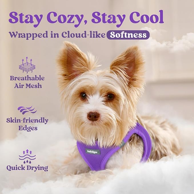 rabbitgoo Step-in Small Dog Harness, Puppy Vest for Small Medium Sized Pet | Easy Put on and off, Lightweight, Soft, Breathable Quick-Dry Air Mesh for Comfortable Secure Walking, Purple L - Image 3