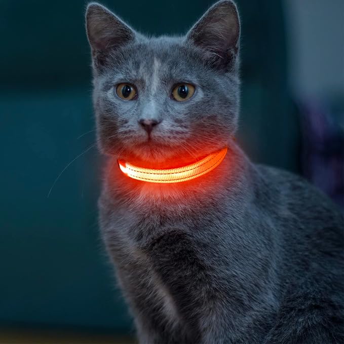 Light up Dog Collar for Small Dog,Vizpet XS Adjustable Size Nylon Collar USB Rechargeable Bright Safety Pet Collar for Cats Dogs (Orange) by VIZPET