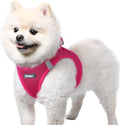 rabbitgoo Step-in Small Dog Harness, Puppy Vest for Small Sized Pet | Easy Put on and off, Lightweight, Soft, Breathable Quick-Dry Air Mesh for Comfortable Secure Walking, Rose Red S by rabbitgoo
