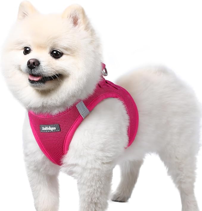 rabbitgoo Step-in Small Dog Harness, Puppy Vest for Small Sized Pet | Easy Put on and off, Lightweight, Soft, Breathable Quick-Dry Air Mesh for Comfortable Secure Walking, Rose Red S by rabbitgoo