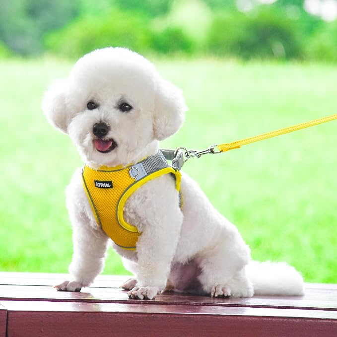 AIITLE Small Dog Harness and Leash Set, Step-in Puppy Pet Vest, Yellow XXS | Breathable Mesh, Adjustable Fit, Reflective Design, Padded Leash Handle, for Small-Medium Dogs & Cats, Walking, Training - Image 2