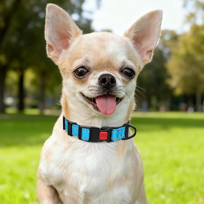 Taglory Reflective Dog Collar for Puppies, Gentle and Safe for Night Walks | Night-Walk Visibility, Soft Neck Cushioning, Adjustable 8-12 in, Locking Buckle, D-Ring for Leash and ID Tags - Image 2