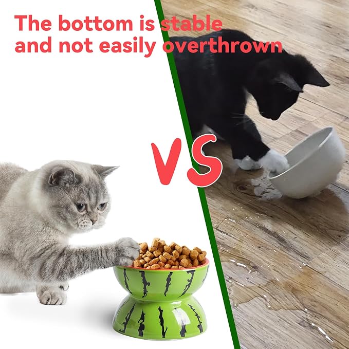 Elevated Cat Bowl Ceramic Raised Cat Food Water Bowls for Indoor Kitten | 5.2In Tilted Anti Vomiting Slow Feeder Cat Dishes, Whisker Friendly, Cute Watermelon Design - Image 4