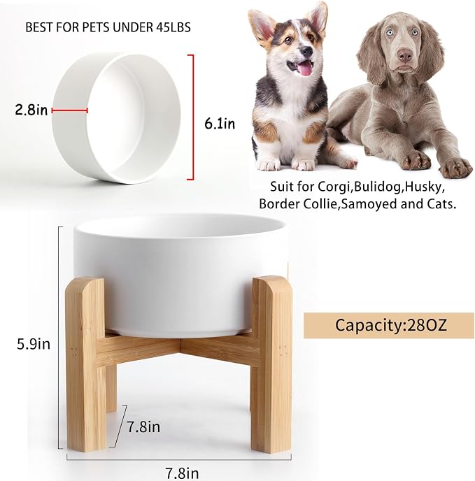 Petygooing 28 OZ White Elevated/Raised Ceramic Dog Bowl for Small and Medium Breeds, Dog Food Water Dish with Stand,Pet Feeding Bowl with Anti Slip Rubber for Cats Small and Medium Dogs (3.6 Cups) - Image 3