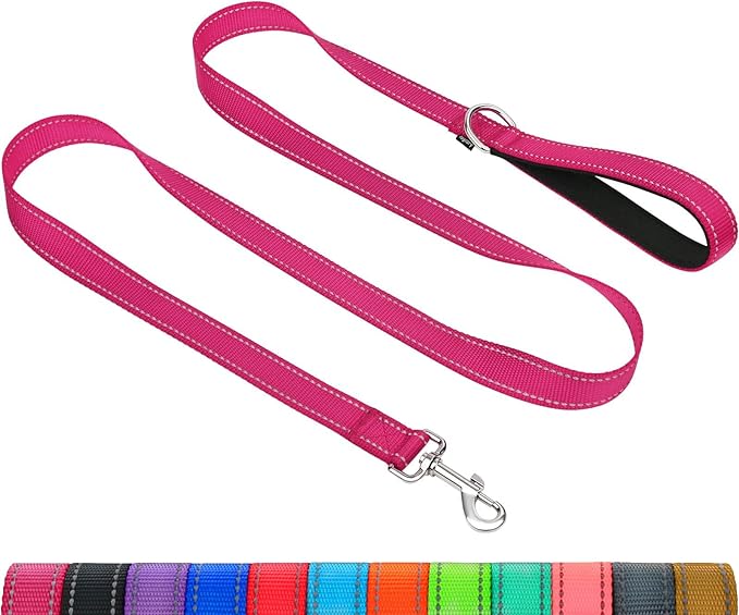 Taglory Reflective Dog Leash for Small Dogs, 3/4in x 5ft, Hot Pink | Ideal for Night Walking, Strong for Sudden Pulls, Lightweight & Gentle on the Neck, Soft Padded Handle by Taglory