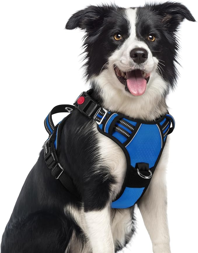rabbitgoo Dog Harness Medium Sized, No Pull 3 Buckles Easy On & Off | Soft Padded, Walking with Control Handle, Adjustable and Reflective, Royal Blue, Medium by rabbitgoo