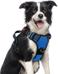 rabbitgoo Dog Harness Medium Sized, No Pull 3 Buckles Easy On & Off | Soft Padded, Walking with Control Handle, Adjustable and Reflective, Royal Blue, Medium by rabbitgoo