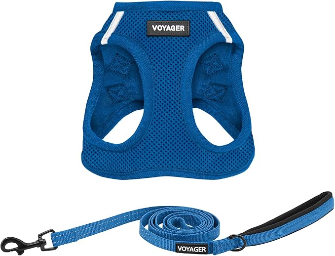 Best Pet Supplies Voyager Step-in Air All Weather Mesh Harness and Reflective Dog 5ft Leash Combo with Neoprene Handle, for Small, Medium and Large Breed Puppies - Royal Blue, XXX-Small by BestPetSuppliesLLC