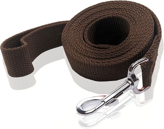 Nylon Dog Leash 4 Ft 5 Feet 6 Foot Long, Walking Training Dog Leashes for Medium Large Dogs, 1 Inch Wide (1" X 6 ft, Brown) by SALO