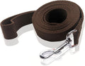 Nylon Dog Leash 4 Ft 5 Feet 6 Foot Long, Walking Training Dog Leashes for Medium Large Dogs, 1 Inch Wide (1" X 4 ft, Brown) by SALO
