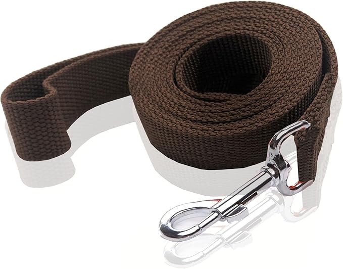 Nylon Dog Leash 4 Ft 5 Feet 6 Foot Long, Walking Training Dog Leashes for Medium Large Dogs, 1 Inch Wide (5/8" X 6 ft, Brown) by SALO