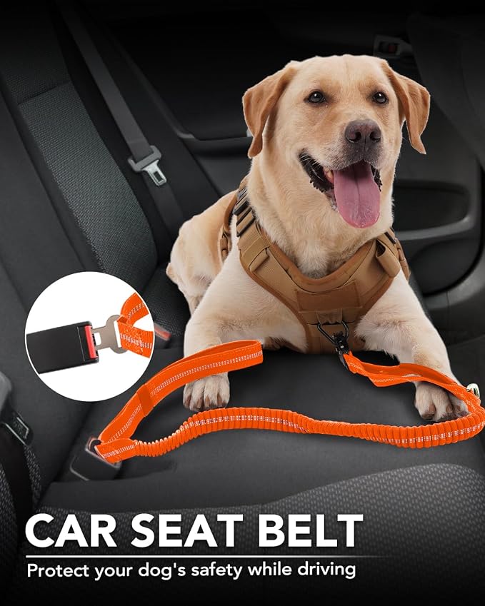 Joytale Tactical Bungee Dog Leash, Shock Absorbing No Pull, Orange | for Large Dogs That Pull, 2 Padded Handles for Control, Car Seatbelt Clip, Reflective for Night Safety, Metal Frog Clip - Image 5