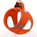 Joytale Step-in Dog Harness, Soft Breathable Mesh, Orange M | Adjustable Fit for Small Dogs, Easy Step-in with Secure Fastener, Even Chest Pressure, Reflective For Night Safety, Washable by Joytale