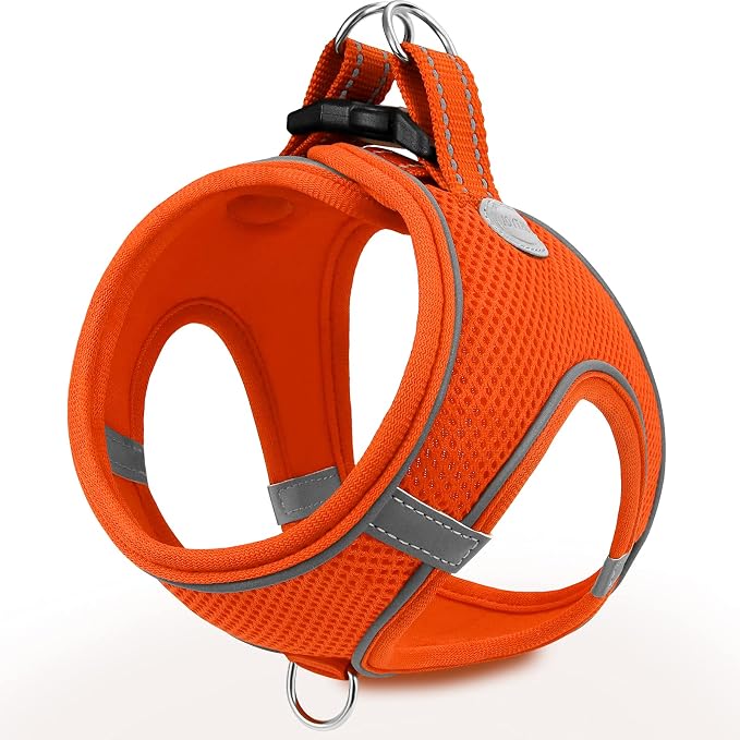 Joytale Step-in Dog Harness, Soft Breathable Mesh, Orange M | Adjustable Fit for Small Dogs, Easy Step-in with Secure Fastener, Even Chest Pressure, Reflective For Night Safety, Washable by Joytale