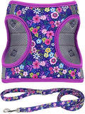 Step in Dog Harness Leash Set- All Weather Reflective No-Pull Floral Pattern Padded Mesh Vest Harness for Cats Puppy Extra-Small Small Medium Large Dogs - Dark Flower - XXS by MOONPET
