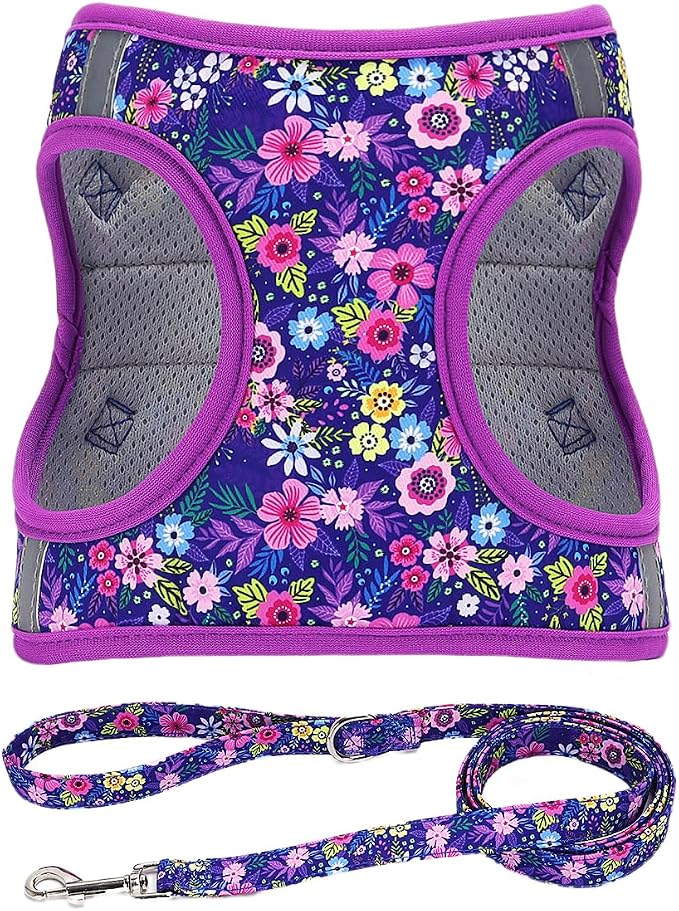 Step in Dog Harness Leash Set- All Weather Reflective No-Pull Floral Pattern Padded Mesh Vest Harness for Cats Puppy Extra-Small Small Medium Large Dogs - Dark Flower - L by MOONPET