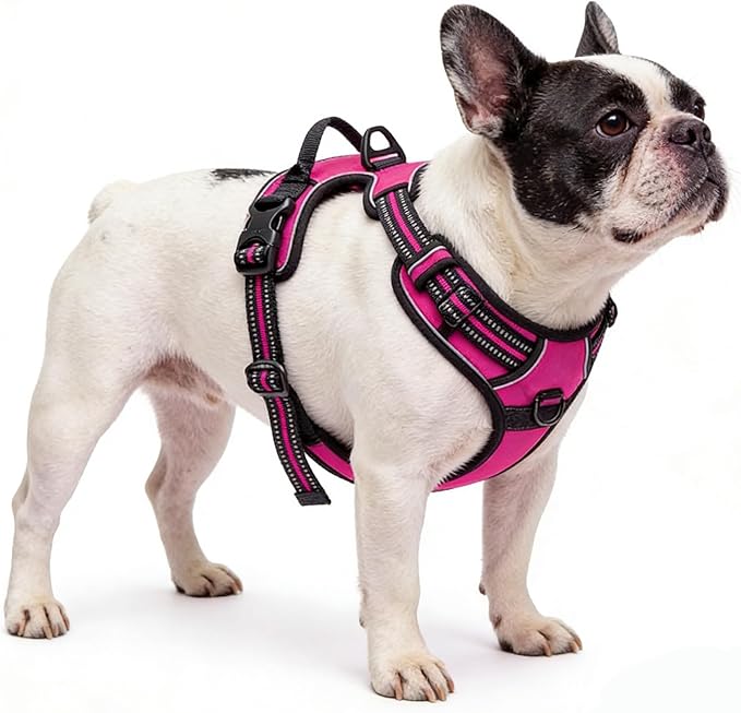 Hot Pink No-Pull Dog Harness with 2 Leash Clips，Soft Padded Vest for Medium Dog, Adjustable Reflective Dog Vest Easy to Put on and Take Off, (Neck: 14"~20", Chest: 21"~27", Hot Pink M) - Image 4