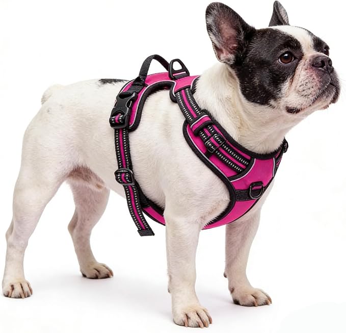 Hot Pink No-Pull Dog Harness with 2 Leash Clips，Soft Padded Vest for Large Dog, Adjustable Reflective Dog Vest Easy to Put on and Take Off,Neck: 18"~26", Chest: 25"~34",Hot Pink XL - Image 5