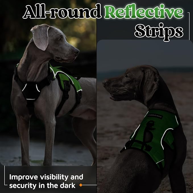 rabbitgoo Escape Proof Dog Harness for Medium, No Pull with Lift Handle | No Escape, Full Soft Padded, Reflective Adjustable Vest, Leash Clip for Walking Hiking Training, Green, Medium - Image 9