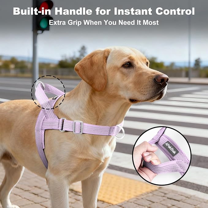 No Pull Dog Harness with Handle, Adjustable Soft Mesh Padded Vest | Reflective Walking Harness with Front Clip for Small Medium Large Dogs, Quick Fit No Escape for Training, Purple, S - Image 3
