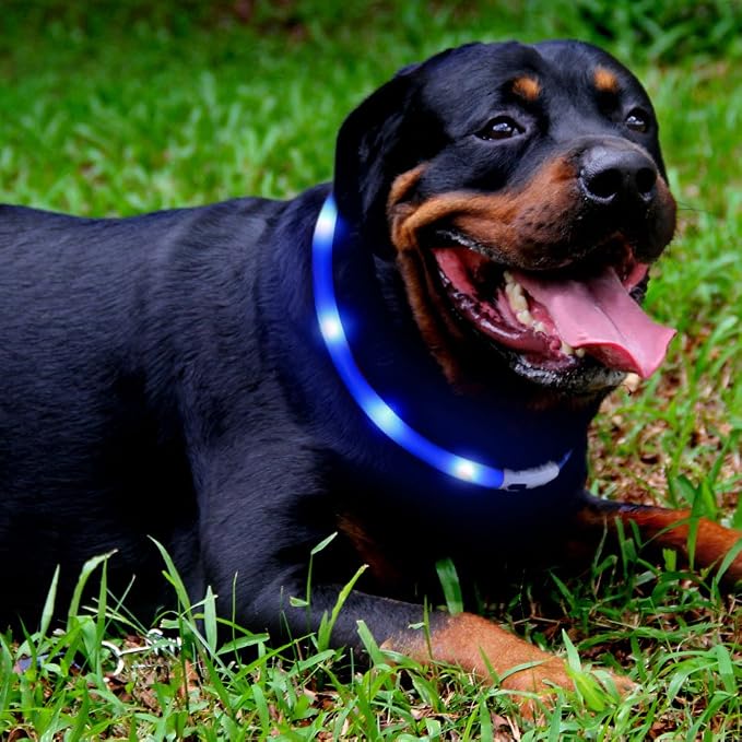 LED Dog Collar,USB Rechargeable Glowing Dog Collars, Light Up Collar Improved Pet Safety &Visibility at Night, 3 Flashing Modes,Water-Resistant Lighted Collar Fits for Small Medium Large Dogs - Image 2