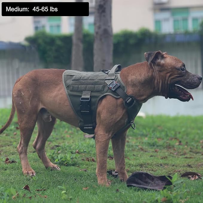 ICEFANG Tactical Dog Harness for Medium Dogs,Reflective No Pull Dog Vest | with Control Handle,Adjustable,Front Hook,2 Leash Clips,Soft Padded,MOLLE Panel,Green,Medium - Image 2