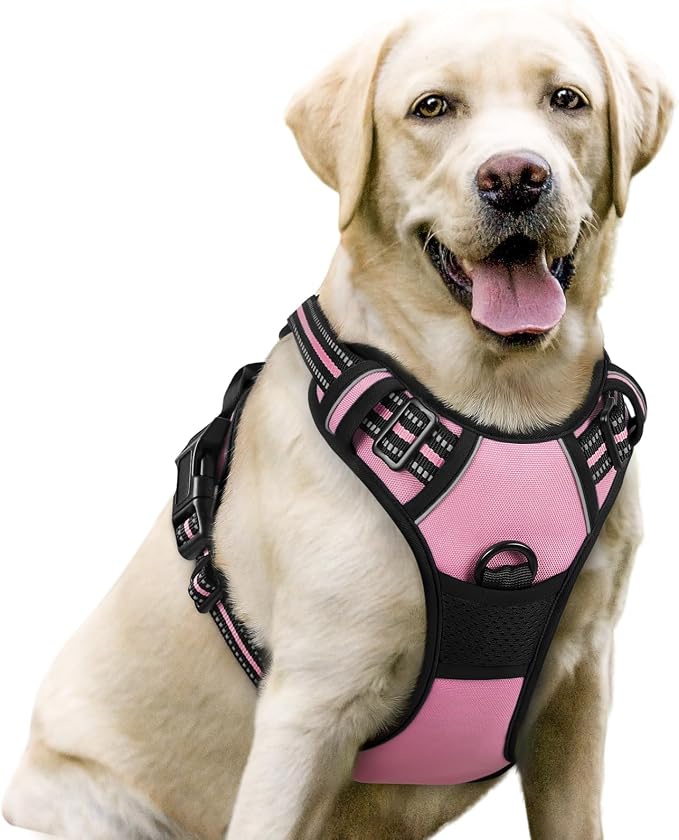 rabbitgoo Dog Harness, No Pull for Large Dogs with 2 Leash Clips, Pet Vest | No Choke with Handle, Adjustable Soft Padded, Reflective, Easy Control for Walking, Pink, Large by rabbitgoo