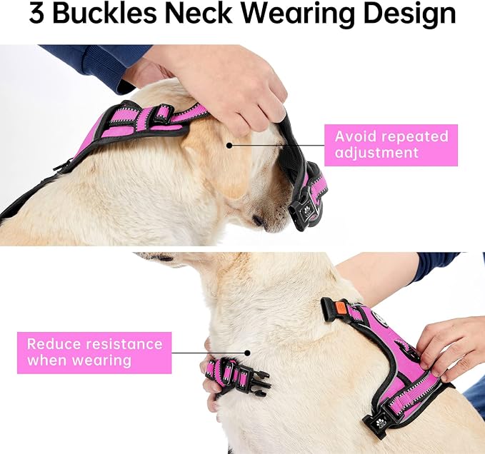 IVY&LANE No Pull Dog Harness for Medium Dogs,Dog Vest Harness with Leash,Safety Belt and Storage Strap, Fully Adjustable Harness,360° Reflective Strip,Soft Handle (Fuchsia Pink,M) - Image 3