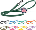 Dogline Biothane Waterproof Dog Leash Strong Coated Nylon Webbing with Black Hardware Odor-Proof Easy to Clean High Performance for Small or Large Dogs Made in USA 4 or 6 ft Lead, Hunter Green by Dogline