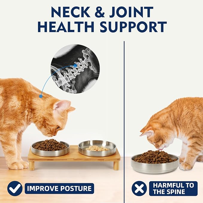 DoogCat Raised Cat Bowls, Bamboo Stand with 2 Stainless Steel Bowls | Adjustable Height, Whisker-Friendly Design, Food & Water Set, Stable Construction, Easy to Clean - Image 5