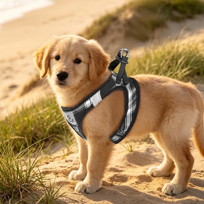 PUPTECK Dog Harness, Collar and Leash Set No Pull for Small Medium Sized | Plaid Puppy Step-in Escape Proof Reflective No Choke Pet Cat Adjustable Walking Vest - Image 9