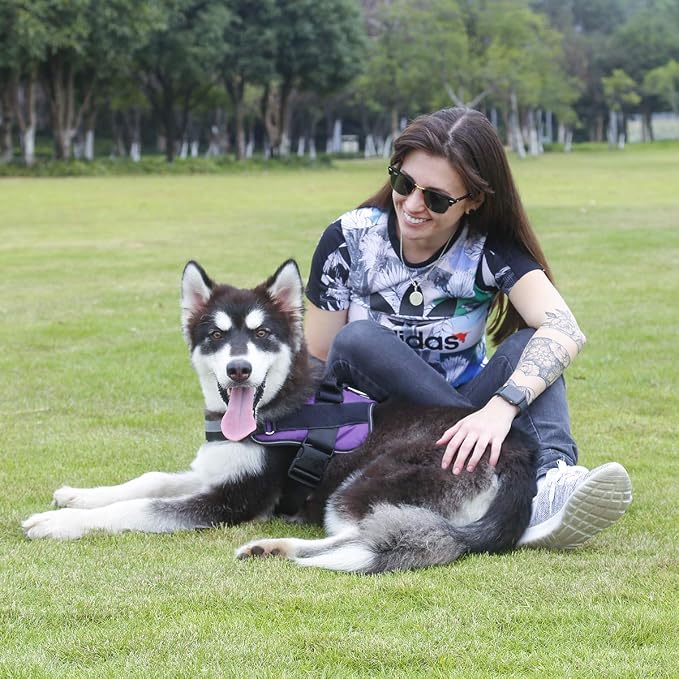 Dog Harness, No-Pull Reflective Dog Vest, Breathable Adjustable Pet Harness with Handle for Outdoor Walking - No More Pulling, Tugging or Choking (Purple, XS) - Image 6