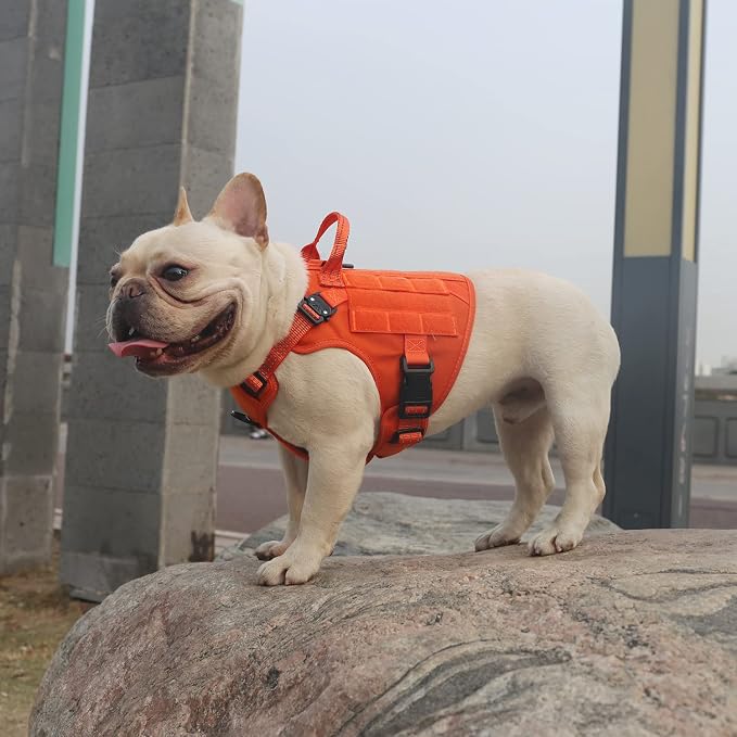 ICEFANG Tactical Dog Harness for Small Dogs,Reflective No Pull Dog Vest | with Control Handle,Adjustable,Front Hook,2 Leash Clips,Soft Padded,MOLLE Panel,Orange,Small - Image 2