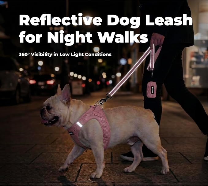 Best Pet Supplies Voyager Reflective Dog Leash or Collar with Neoprene Handle, for Small, Medium, and Large Breed Puppies, Cute and Heavy Duty for Walking, Running and Training - Soft Pink (Leash), M - Image 4