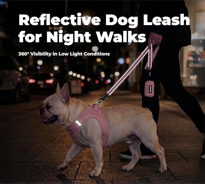 Best Pet Supplies Voyager Nylon Dog Leash - Pink, Small | 5ft in Length, 5/8" in Width, Reflective, Soft Neoprene Handle, Heavy Duty Metal Clips for Running, Walking & Training - Image 4
