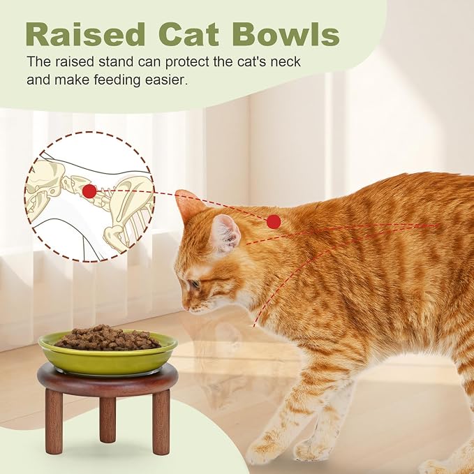 SPUNKYJUNKY Shallow Elevated Cat Bowl with Acacia Wood Stand Wide Raised Ceramic Cat Dishes Whisker Friendly Pet Food and Water Plates (Striped Pattern, 2 Pack, Green) - Image 3