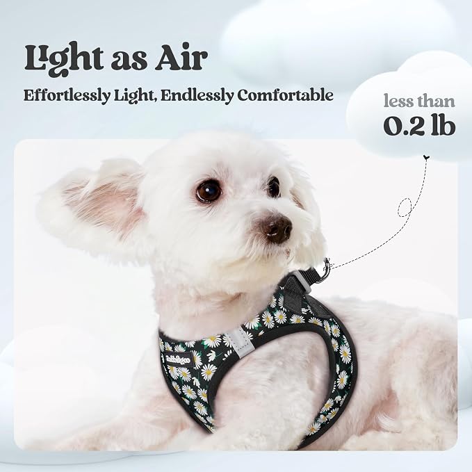 rabbitgoo Dog Harness Small Sized and Leash Set, Step-in Puppy Pet Vest | Light, Soft, Breathable Air Mesh, Easy on and Remove with Hook & Loop, Secure Reflective for Walking, Midnight Daisy XS - Image 3
