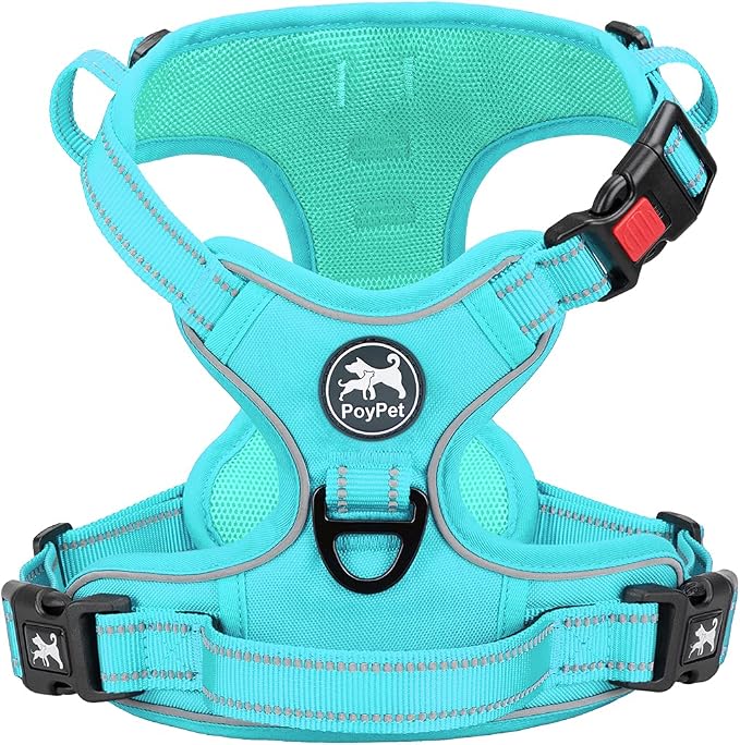 PoyPet No Pull Dog Harness, Reflective Vest with 2 Leash Clips & Handle | Lockable Neck Release Buckle, No Choke, Adjustable, Soft Padded, for Walking Training, Mint Blue Matching Trim, Large by PoyPet