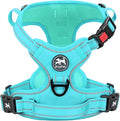 PoyPet No Pull Dog Harness, Reflective Vest with 2 Leash Clips & Handle | Lockable Neck Release Buckle, No Choke, Adjustable, Soft Padded, for Walking Training, Mint Blue Matching Trim, Large by PoyPet