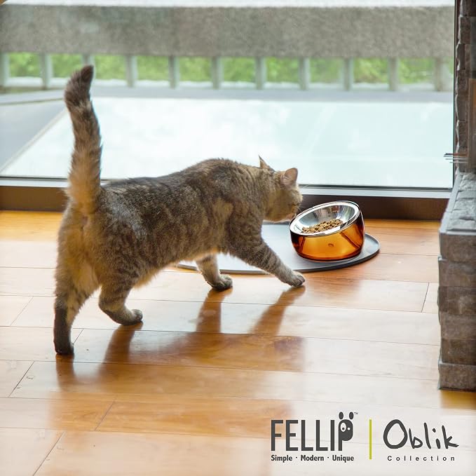 Felli Pet Oblik Whisker Fatigue Cat Food Bowl Raised Stainless Steel Shallow Dish, Pet Design Anti Vomit Tilted Metal Plate Feeder Elevated Acrylic Base for Treats Storage(Gold, 0.5 Cups Shallow Dish) - Image 5